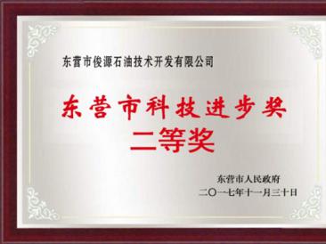 東營市科技進(jìn)步獎(jiǎng)